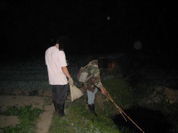 电鱼,偷菜,抓蛇这小伙子是个坏青年