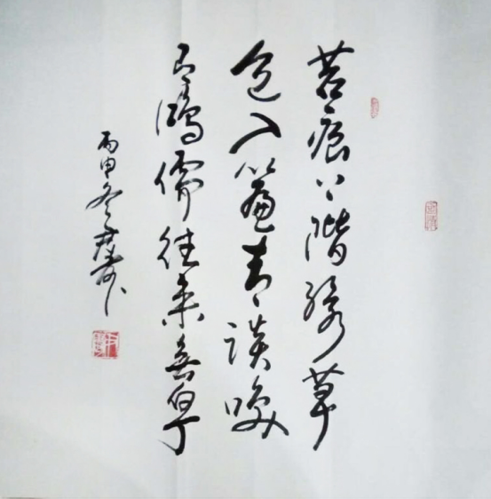 书法家尹寿艺术人生