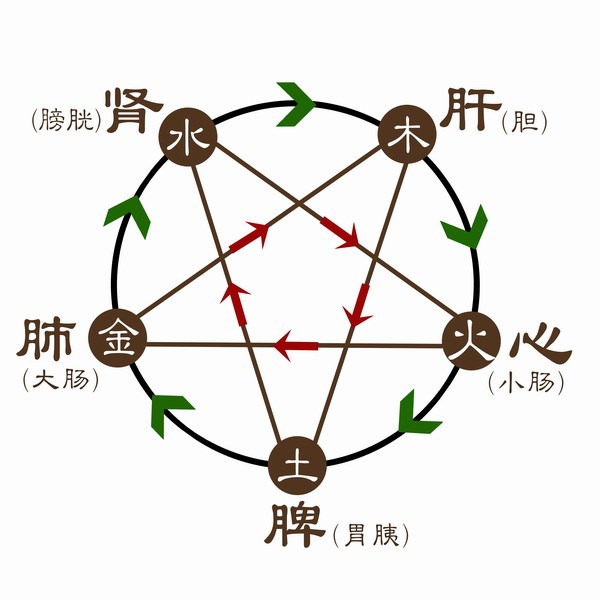 夏季慢性肺疾病患者的日常肺保养