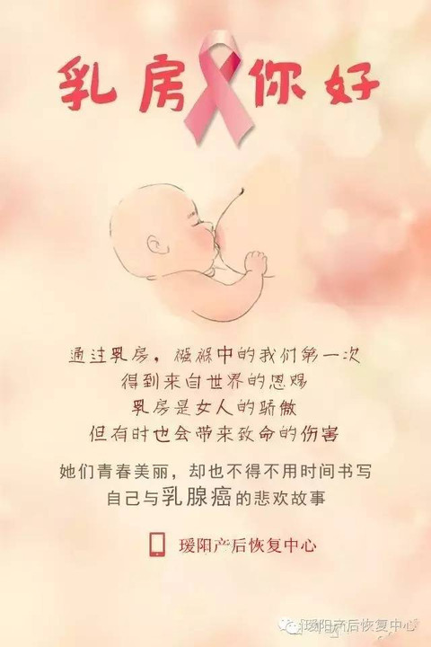 女性乳房图解ppt课件图片