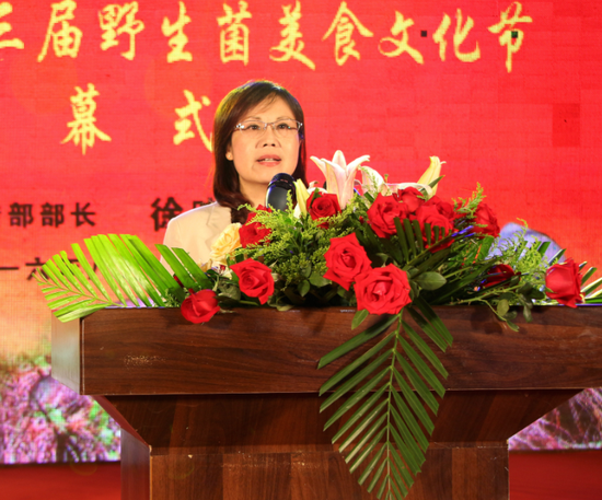 中共楚雄州委常委,州委宣传部长徐晓梅讲话