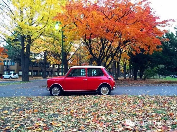 看秋日红叶烂漫 日本 最美红叶观赏地 北海道 新闻频道 手机搜狐