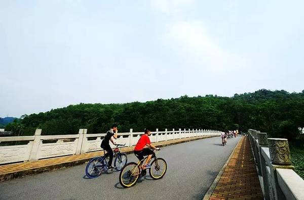 周末游 去大夫山骑单车才是正确打开方式
