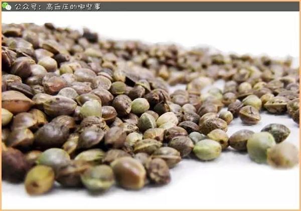 奥巴马女儿疑吸大麻,是中药的火麻吗?