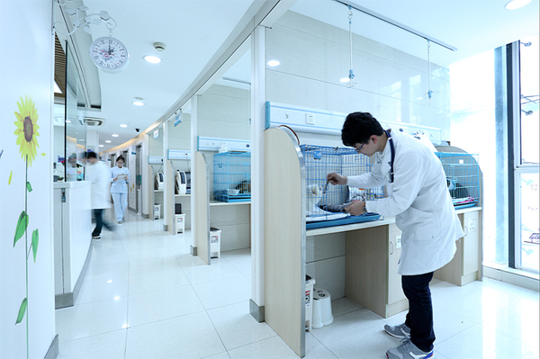 杭州宠主福音,终于找到一家专业又可靠的宠物医院