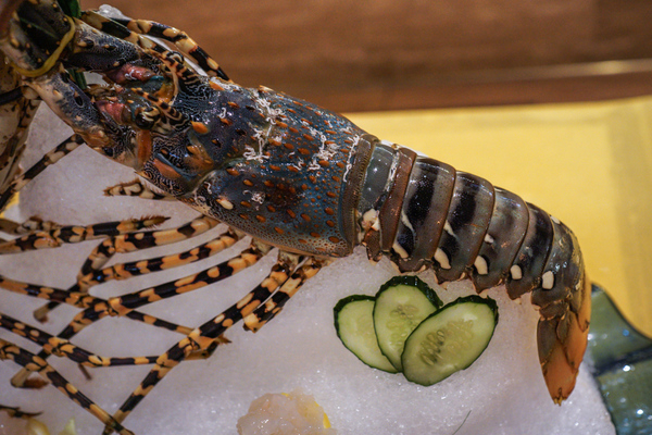 管他智利帝王蟹,新西兰敖虾,海刺参,澳洲龙虾,象拔蚌,鲷鱼,泰椒,南乳