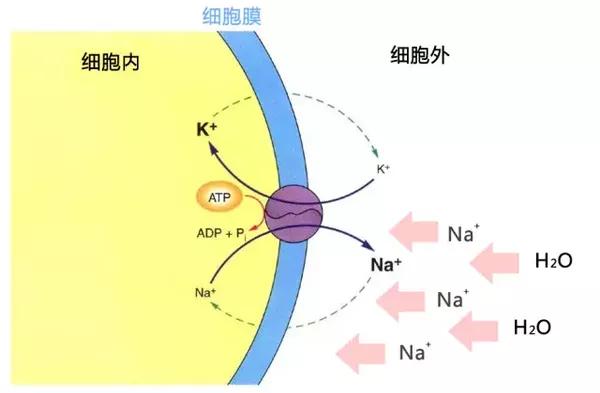 你绝对想不到,高血压多吃一点盐会有这么多坏处