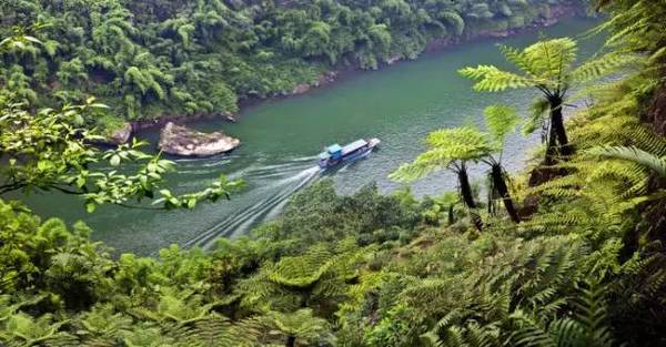 截至目前,已完成竹公溪流域溼地公園概念性規劃初步方案和鳳洲島溼地