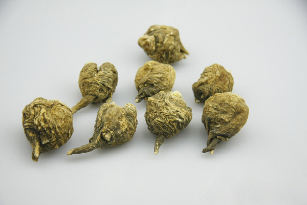 玛咖含丰富维生素,补充人体所必需的多种元素