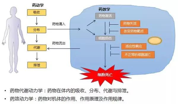 给药途径有哪些 搜狐网