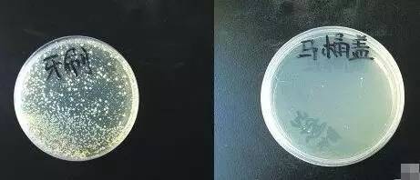 这些东西细菌真不少!一定要看!|晓得