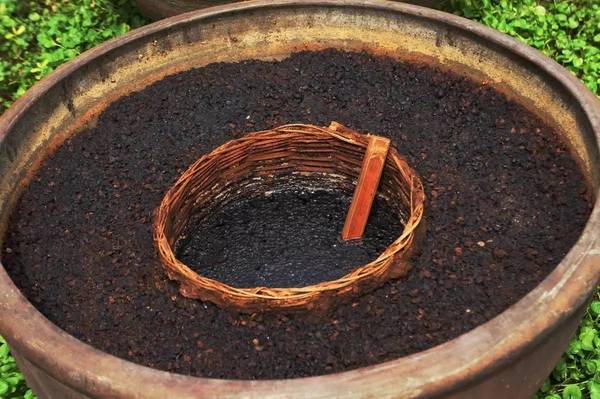 你不了解的酱油