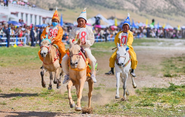 西藏当吉仁赛马节,书写马背上的传奇