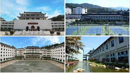 龙象天和与武当山国际武术学院签署合作协议(组图)