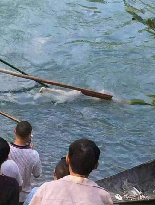 打捞淹死男孩 孩子图片