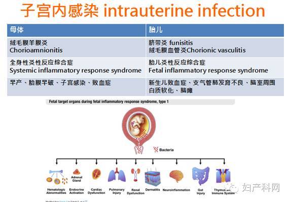 神奇羊膜就像藥布便利貼 科普好健康 新聞 元氣網