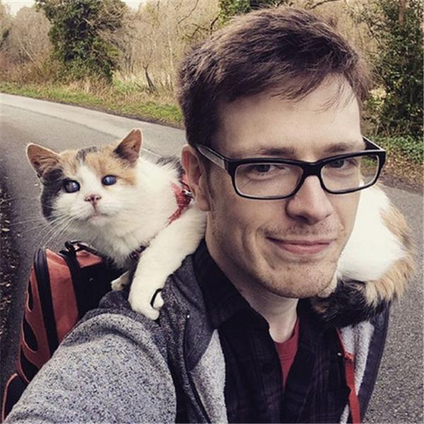宠物猫意外失明 男主人竟然带着它走遍全国 新闻频道 手机搜狐