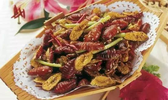 其实学名叫 土元,可入药