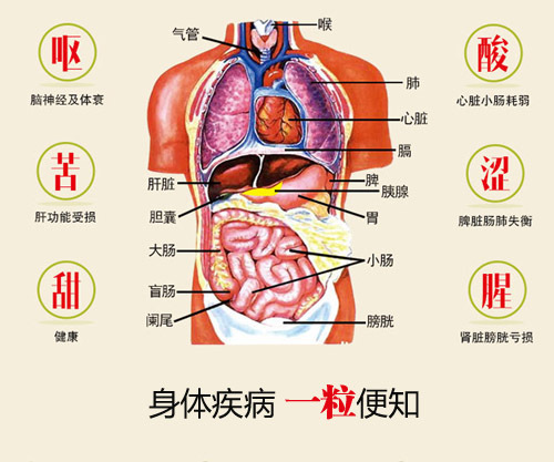 辣木籽的功效和作用 健康频道 手机搜狐