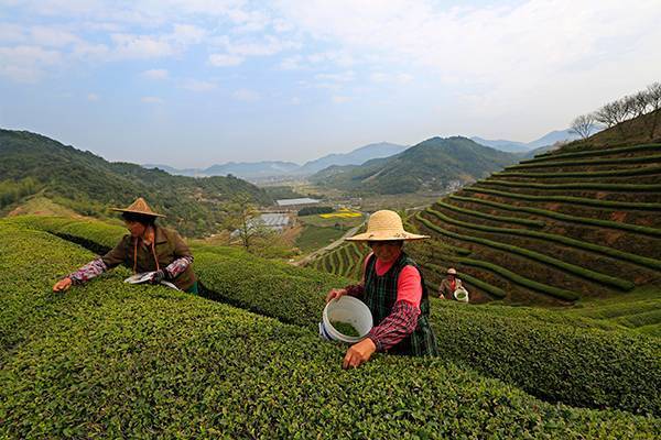 担山村(东关镇)担山村,紧依104国道,杭甬运河,长塘江自南向北横穿全境