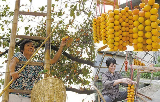 上虞桃园村图片