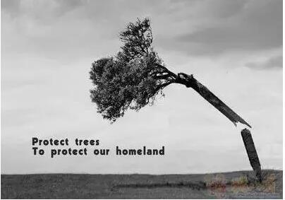 当你停止吃肉,这些奇迹就会出现.