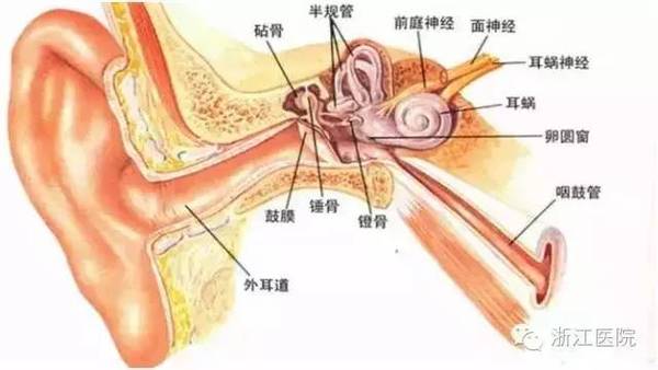 坐飞机耳朵痛 竟有这么多解决办法 健康频道 手机搜狐