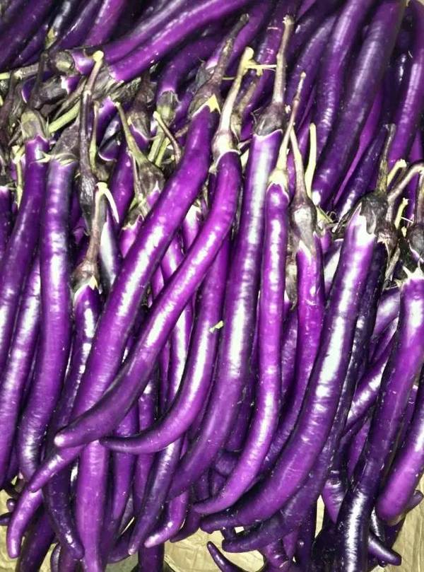 养生饮食 | 茄子的8大功效要这样吃才能营养健康