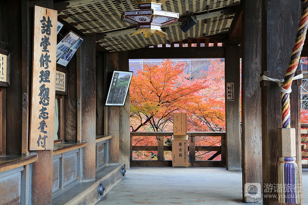 京都清水寺青龙会 看和田惠美设计的青龙 旅游频道 手机搜狐