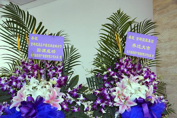 金砖控股集团乔迁庆典-财经频道-手机搜狐