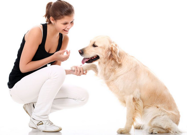 狗狗消化不良吃益生菌可以吗 酵素菌是什么 新闻频道 手机搜狐