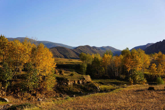 1,和林格尔东摩天岭