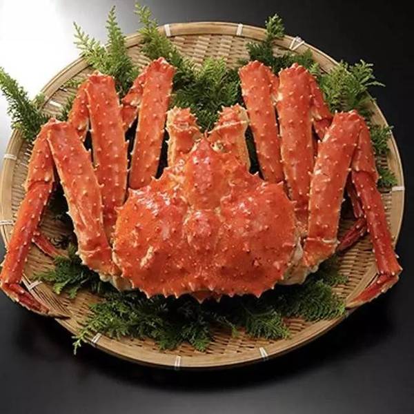 留念 报名方式 后台回复【海鲜 姓名 微信号 手机号】 原始食材 菜名