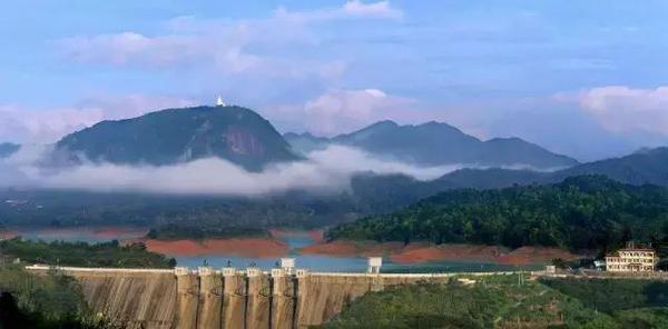 陆河南万:一条别样的绿色长廊