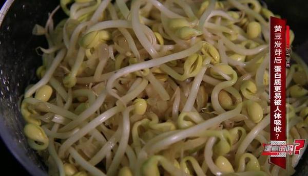 黄豆发芽后再吃营养价值会更高 发芽期四天为宜 财经频道 手机搜狐