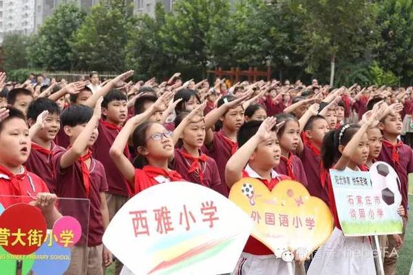 2016石家庄首届市长杯青少年足球赛圆满落幕