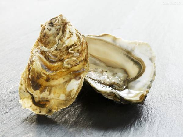 牡蛎 生蚝 海蛎子 叫法不同的它们在吃法上有什么不一样 美食频道 手机搜狐 牡蛎 生蚝 海蛎子 叫法不同的它们在吃法上有什么不一样 美食频道 手机搜狐