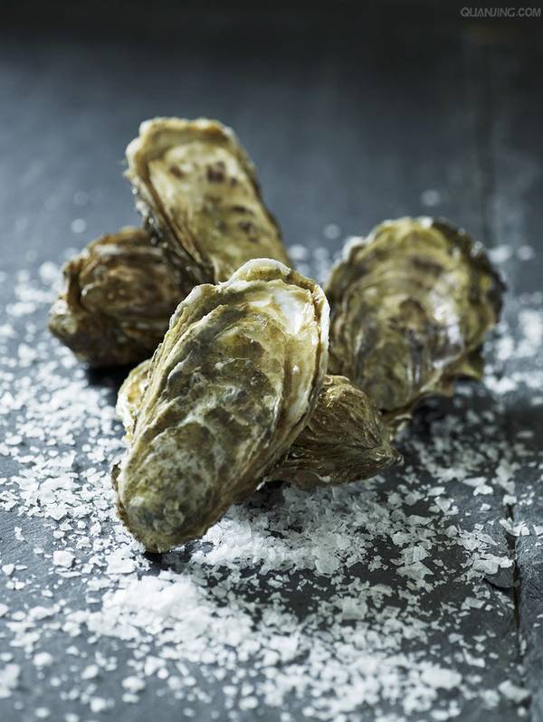 牡蛎 生蚝 海蛎子 叫法不同的它们在吃法上有什么不一样 美食频道 手机搜狐 牡蛎 生蚝 海蛎子 叫法不同的它们在吃法上有什么不一样 美食频道 手机搜狐