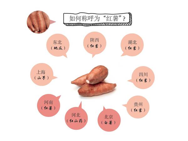 究竟是黄心红薯好还是白心红薯好?我们应该怎么选