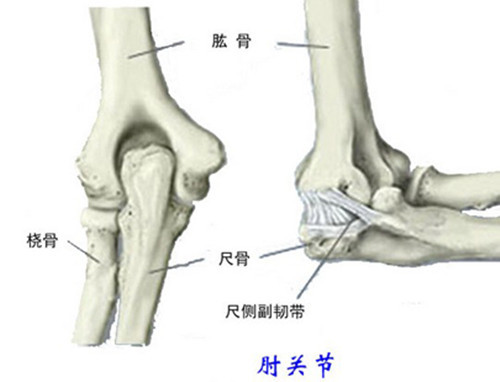 肘关节疼痛的原因有哪些 应该要如何办 健康频道 手机搜狐