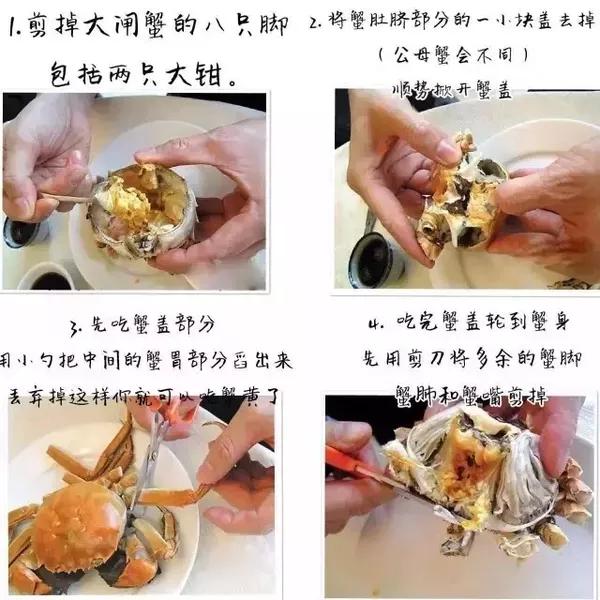首先,大脸猫要教大家 把蟹纳入肚中的正确姿势 品蟹八大步骤
