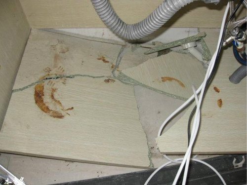 我的天啊!快看净水器买回家竟然爆炸了