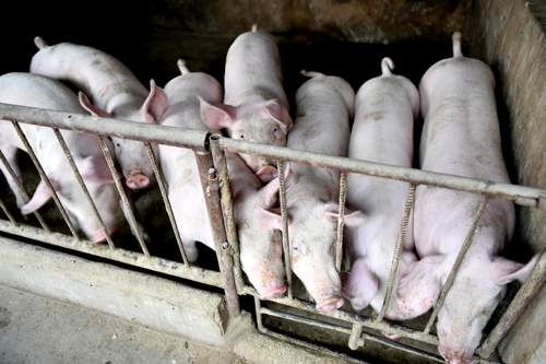 印象盂县:辛庄调整产业结构走富路拓展旅游谋发展