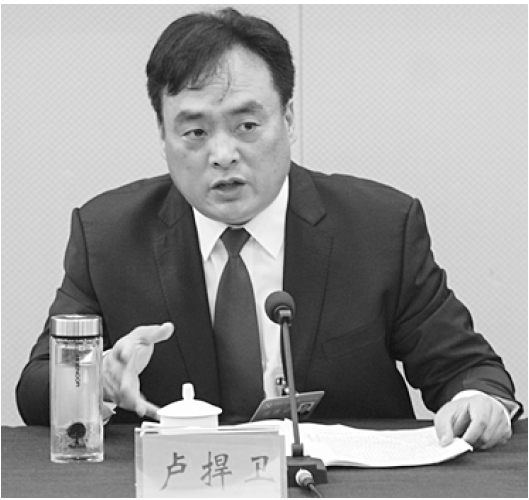 淅川县代表卢捍卫在发言