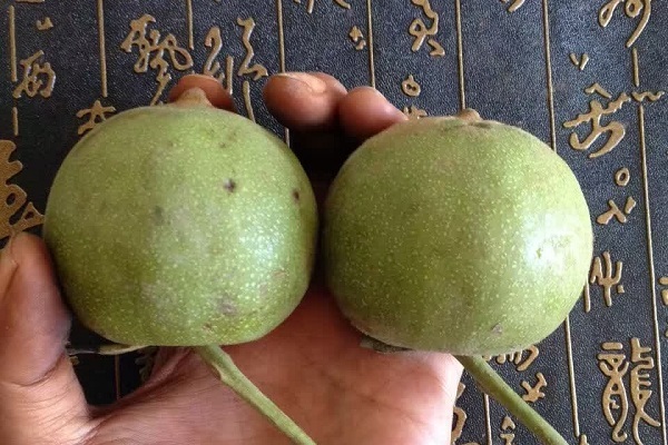 泡青皮水文玩核桃怎么样?