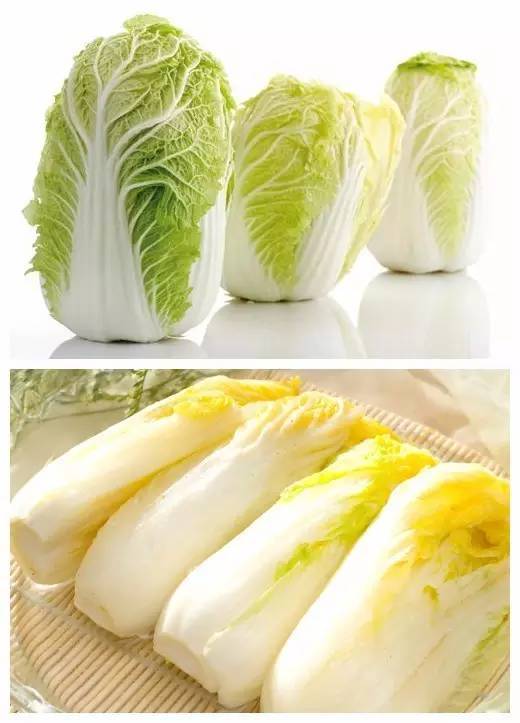 大白菜vs娃娃菜