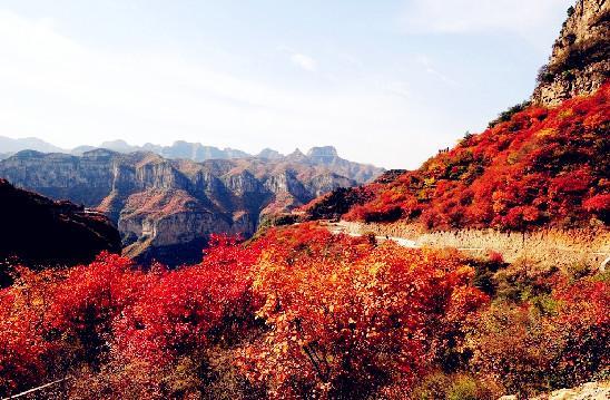 万里之子万山图片