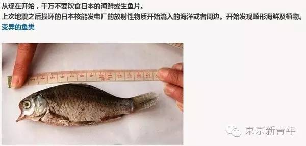海关查获日本5000万吨被辐射海鲜!那化妆品呢?SK-新闻频道-手机搜狐