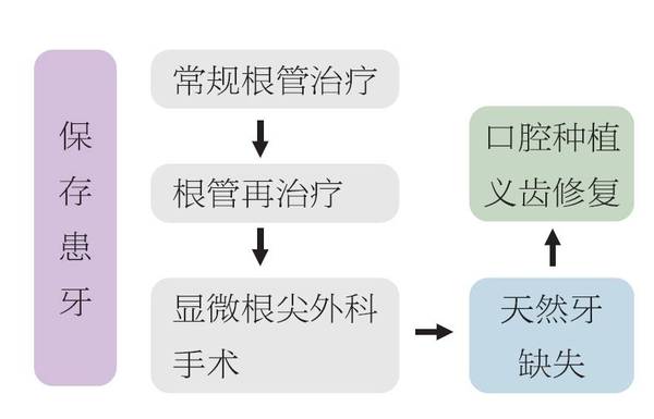 根管再治疗与显微根尖手术的选择 侯本祥教授 健康频道 手机搜狐