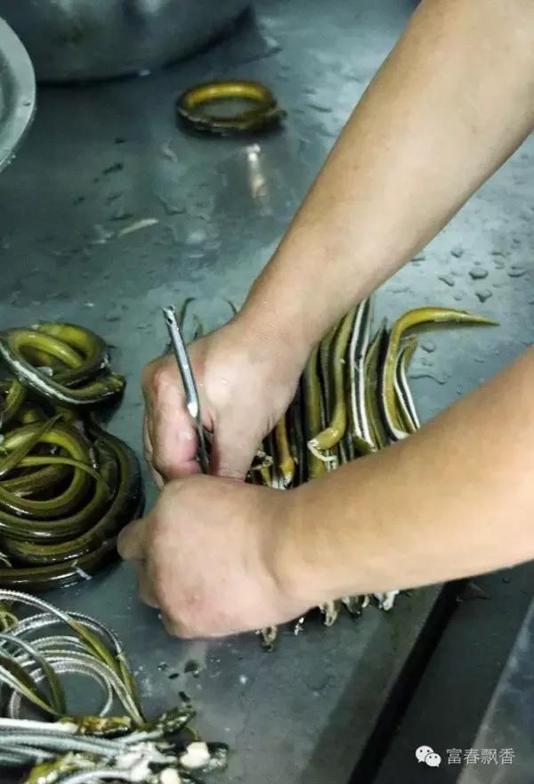 (中型鳝鱼:为爆鳝筒,炒蝴蝶片原料) (大鳝鱼:大烧马鞍桥原料) (笔杆青